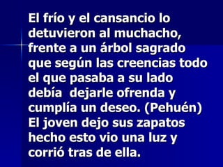 El frío y el cansancio lo detuvieron al muchacho, frente a un árbol sagrado que según las creencias todo el que pasaba a su lado debía  dejarle ofrenda y cumplía un deseo. (Pehuén) El joven dejo sus zapatos hecho esto vio una luz y corrió tras de ella. 
