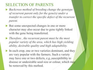 SELECTION OF PARENTS
 Backcross method of breeding change the genotype
of recurrent parent only for the gene(s) under a
transfer to correct the specific defect of the recurrent
parent.
 But some unexpected changes in one or more
character may also occur due to gene tightly linked
with the gene being transferred.
 Therefore , the recurrent parent must be the most
popular variety of the area, which has high yielding
ability, desirable quality and high adaptability.
 In each crop, one or two varieties dominant, and they
are vary popular with the farmers. Such a variety
may have one or two defects, e.g.,susceptibility to
disease or undesirable seed size or colour, which may
be removed by this method.
 