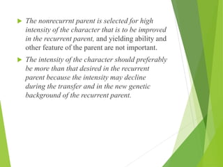 The nonrecurrnt parent is selected for high
intensity of the character that is to be improved
in the recurrent parent, and yielding ability and
other feature of the parent are not important.
 The intensity of the character should preferably
be more than that desired in the recurrent
parent because the intensity may decline
during the transfer and in the new genetic
background of the recurrent parent.
 