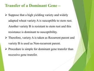 Transfer of a Dominant Gene –
 Suppose that a high yielding variety and widely
adapted wheat variety A is susceptible to stem rust.
Another variety B is resistant to stem rust and this
resistance is dominant to susceptibility.
 Therefore, variety A is taken as Recurrent parent and
variety B is used as Non-recurrent parent.
 Procedure is simple for dominant gene transfer than
recessive gene transfer.
 
