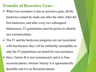 Transfer of Recessive Gene –
 When rust resistance is due to recessive gene, all the
backcross cannot be made one after the other. After the
first backcross, and after every two subsequent
backcrosses, F2 generations must be grown to identify
rust resistant plants.
 The F1 and the backcross progenies are not inoculated
with rust because they will be uniformly susceptible so,
only the F2 populations are tested for rust resistance.
 Here, Variety B is rust resistance(rr) and it is Non-
recurrent parent, whereas Variety A is agronomically
desirable and it is as Recurrent parent.
 