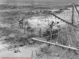 La ligne Morice le long de la frontière tunisienne 