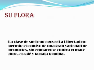 SU FLORA
La clase de suelo que posee La Libertad no
permite el cultivo de una gran variedad de
productos, sin embargo se cultiva el maíz
duro, el café y la paja toquilla.
 