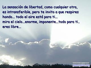 La sensación de libertad, como cualquier otra,  es intransferible ,  pero te invito a que respires hondo... todo el aire está para ti... mira el cielo...enorme, imponente...todo para ti..   eres libre... 