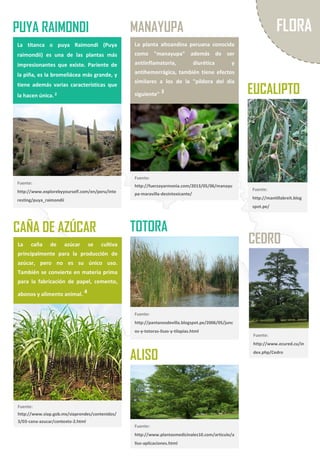 Recursos Naturales y Áreas Naturales Protegidas de la Región La ...