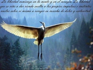 La libertad como derecho natural