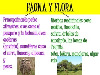 FAUNA Y FLORA
Principalmente patos          Hierbas medicinales como
silvestres, aves como el      matico, limoncillo,
pampero y la lechuza; aves    salvia, árboles de
costeras                      eucalipto, las lomas de
(gaviota), mamíferos como     Trujillo;
el zorro, llamas y alpacas;   ichu, totora, manglares, algar
y                             robos, sapotes, etc.
peces.
 