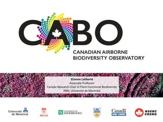 Etienne Laliberté
Associate Professor
Canada Research Chair in Plant Functional Biodiversity
IRBV, Université de Montréal
 