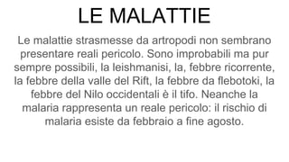 LE MALATTIE
Le malattie strasmesse da artropodi non sembrano
presentare reali pericolo. Sono improbabili ma pur
sempre possibili, la leishmanisi, la, febbre ricorrente,
la febbre della valle del Rift, la febbre da flebotoki, la
febbre del Nilo occidentali è il tifo. Neanche la
malaria rappresenta un reale pericolo: il rischio di
malaria esiste da febbraio a fine agosto.
 