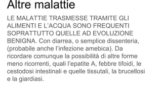 Altre malattie
LE MALATTIE TRASMESSE TRAMITE GLI
ALIMENTI E L’ACQUA SONO FREQUENTI
SOPRATTUTTO QUELLE AD EVOLUZIONE
BENIGNA. Con diarrea, o semplice dissenteria,
(probabile anche l’infezione amebica). Da
ricordare comunque la possibilità di altre forme
meno ricorrenti, quali l’epatite A, febbre tifoidi, le
cestodosi intestinali e quelle tissutali, la brucellosi
e la giardiasi.
 