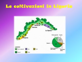 Le coltivazioni in Liguria

 
