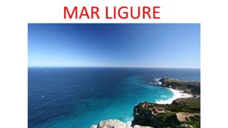 MAR LIGURE
 