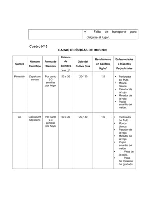 • Falta de transporte para
dirigirse al lugar.
Cuadro Nº 5
CARACTERÍSTICAS DE RUBROS
Cultivo
Nombre
Científico
Forma de
Siembra
Distancia
de
Siembra
cm. 1/
Ciclo del
Cultivo Días
Rendimiento
en Cantero
Kg/m2
Enfermedades
e Insectos
Perjudiciales
Pimentón Capsicum
annum
Por punto
2-3
semillas
por hoyo
50 x 30 120-130 1,5 • Perforador
del fruto.
• Mosca
blanca.
• Pasador de
la hoja.
• Minador de
la hoja.
• Piojito
amarillo del
melón.
Ají Capsicumf
rutescens
Por punto
2-3
semillas
por hoyo
50 x 30 120-130 1,5 • Perforador
del fruto.
• Mosca
blanca.
• Pasador de
la hoja.
• Minador de
la hoja.
• Piojito
amarillo del
melón
• Virus de
la papa.
• Virus
del mosaico
del grabado.
 
