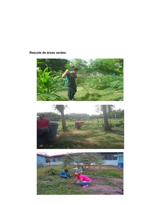 Rescate de áreas verdes
 