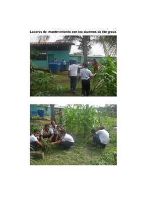 Labores de mantenimiento con los alumnos de 5to grado
 