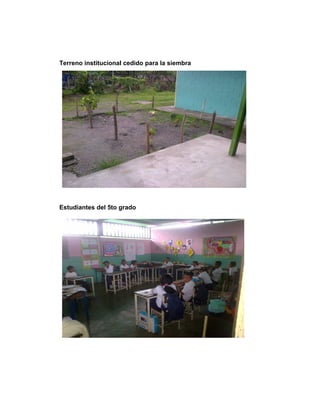 Terreno institucional cedido para la siembra
Estudiantes del 5to grado
 
