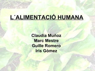 L´ALIMENTACIÓ HUMANA Claudia Muñoz Marc Mestre Guille Romero Iris Gòmez 