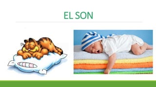 EL SON
 