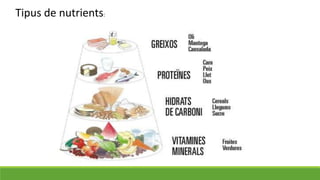 Tipus de nutrients:
 
