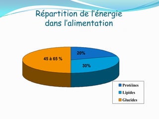 Répartition de l’énergie
  dans l’alimentation


              20%
  45 à 65 %
               30%



                           Protéines
                           Lipides
                           Glucides
 