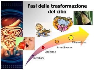 L’alimentazione e la digestione | PPTX