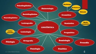 6
LINGÜÍSTICA
Gramática
Fonética
Lexicología
Sociolingüística
Pragmática
Dialectología
Ortografía
Prosodia
Psicolingüística
Semántica
Semiología
Neurolingüística
Fonología
Morfología
Morfosintaxis
Sintaxis
Lexicografía
Filología
Morfo-
semántica
Léxico-
semántica
 