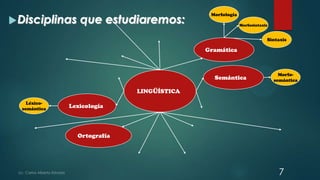 7
LINGÜÍSTICA
Gramática
Lexicología
Ortografía
Semántica
Morfología
Morfosintaxis
Sintaxis
Morfo-
semántica
Léxico-
semántica
Disciplinas que estudiaremos:
 