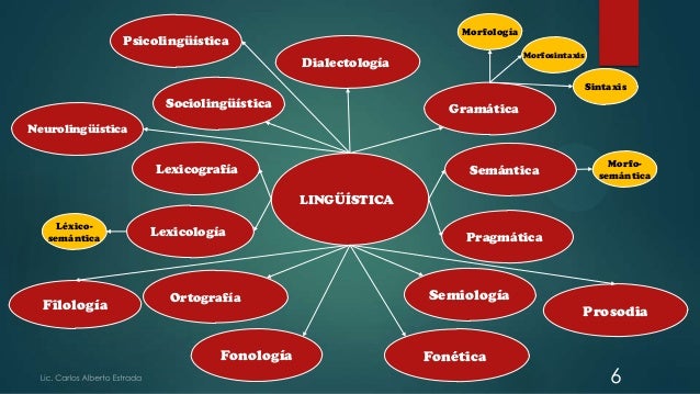 La lingüística como estudio científico