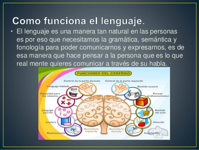 La lingüística como ventana de nuestra mente terminado