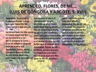 APRENDED, FLORES, DE MÍ,…
(LUIS DE GÓNGORA Y ARGOTE, S. XVII)
Aprended, flores, en mí
lo que va de ayer a hoy,
que ayer maravilla fui,
y hoy sombra mía aun no
soy.
La aurora ayer me dio cuna,
la noche ataúd me dio;
sin luz muriera si no
me la prestara la Luna:
pues de vosotras ninguna
deja de acabar así,
Aprended, Flores, en mí,...
Consuelo dulce el clavel
es a la breve edad mía,
pues quien me concedió un
día,
dos apenas le dio a él:
efímeras del vergel,
yo cárdena, el carmesí.
Aprended, Flores, en mí,...
Flor es el jazmín, si bella,
no de las más vividoras,
pues dura pocas más horas
que rayos tiene de estrella;
si el ámbar florece, es ella
la flor que él retiene en sí.
Aprended, Flores, en mí,...
El alhelí, aunque grosero
en fragancia y en color,
más días ve que otra flor,
pues ve los de un Mayo
entero:
morir maravilla quiero
y no vivir alhelí.
Aprended, Flores, en mí,...
A ninguna flor mayores
términos concede el Sol
que al sublime girasol,
Matusalén de las flores:
ojos son aduladores
cuantas en él hojas vi.
Aprended, Flores, en mí,…
 