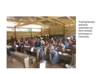 Science at ASB Partnership: Reflections from young scientists