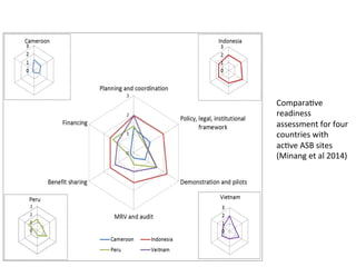 Science at ASB Partnership: Reflections from young scientists