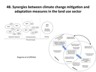 Science at ASB Partnership: Reflections from young scientists