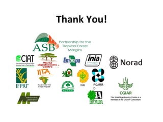 Science at ASB Partnership: Reflections from young scientists