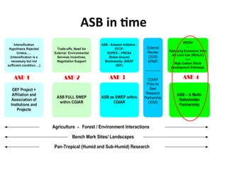 Science at ASB Partnership: Reflections from young scientists
