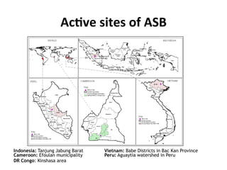 Science at ASB Partnership: Reflections from young scientists
