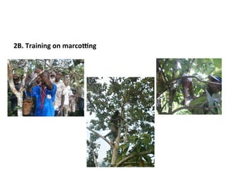 Science at ASB Partnership: Reflections from young scientists