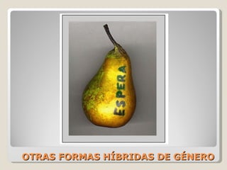OTRAS FORMAS HÍBRIDAS DE GÉNERO 