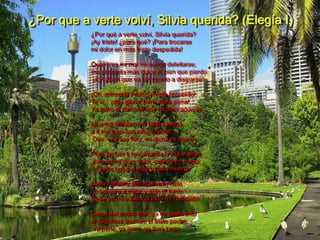 ¿Por que a verte volví, Silvia querida? (Elegía I)
           ¿Por qué a verte volví, Silvia querida?
           ¡Ay triste! ¿para qué? ¡Para trocarse
           mi dolor en más triste despedida!

           Quiere en mi mal mi suerte deleitarse;
           me presenta más dulce el bien que pierdo:
           ¡Ay! ¡Bien que va tan pronto a disiparse!

           ¡Oh, memoria infeliz! ¡Triste recuerdo!
           Te vi... ¡qué gloria! pero ¡dura pena!
           Ya sufro el daño de que no hice acuerdo.

           Mi amor ansioso, mi fatal cadena,
           a ti me trajo con influjo fuerte.
           Dije: «Ya soy feliz, mi dicha es plena».

           Pero ¡ay! de ti me arranca cruda suerte;
           este es mi gran dolor, este es mi duelo;
           en verte busqué vida y hallo muerte.

           Mejor hubiera sido que este cielo
           no volviera a mirar y sólo el llanto
           fuese en mi ausencia todo mi consuelo.

           Cerca del ancho mar, ya mi quebranto
           en lágrimas deshizo el triste pecho;
           Ya pené, ya gemí, ya lloré tanto
 