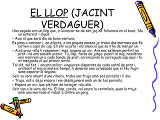 EL LLOP  (JACINT VERDAGUER) Una vegada era un llop que, a l’aixecar-se de son jaç de fullaraca en el bosc, féu un esternut i digué: –  Avui sí que serà dia de bona ventura. Es posa a caminar i, en efecte, a les poques passes ja troba dos marrans que Es batien a cops de cap. Ell s’hi acosta i els anuncia que se n’ha de menjar un. –  Això prou –ells li responen–; mes, espera un xic. Ara ens estàvem partint un prat i no ens sabíem avenir. Tu, llop, faràs de jutge: posa’t al mig, nosaltres ens n’anirem un a cada banda de prat, arrencarem la correguda cap aquí i tu et menjaràs el qui primer arribi. Tal dit, tal fet, i encara millor: vingueren disparats de cada cantó de prat i, arribant al mig al mateix temps, li donaren una cotassada que el féu fugir sens esperar la segona. Se’n va vora amunt d’una ribera, troba una truja amb sos porcells i li diu: –  Truja, estic dejú encara i em desdejunaré amb un de tos porcells. –  Espera un xic, que els hem de batejar –diu ella. Se’n van a la vora del riu. El llop, curiós, vol veure la cerimònia, quan la truja amb una morrada el rebat a dintre un gorg. 