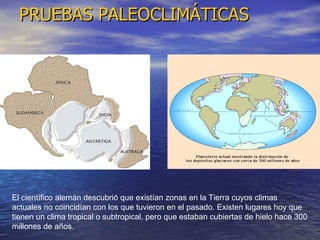 PRUEBAS PALEOCLIMÁTICAS El científico alemán descubrió que existían zonas en la Tierra cuyos climas actuales no coincidían con los que tuvieron en el pasado. Existen lugares hoy que tienen un clima tropical o subtropical, pero que estaban cubiertas de hielo hace 300 millones de años.  