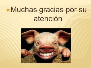 Muchas gracias por su
atención