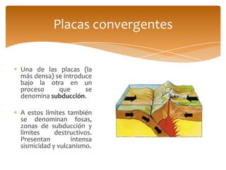 Placas convergentes


Una de las placas (la
más densa) se introduce
bajo la otra en un
proceso     que      se
denomina subducción.

A estos límites también
se denominan fosas,
zonas de subducción y
límites     destructivos.
Presentan         intensa
sismicidad y vulcanismo.
 