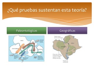 ¿Qué pruebas sustentan esta teoría?


   Paleontológicas     Geográficas
 