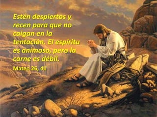 Estén despiertos y
recen para que no
caigan en la
tentación. El espíritu
es animoso, pero la
carne es débil.
Mateo 26, 41
 