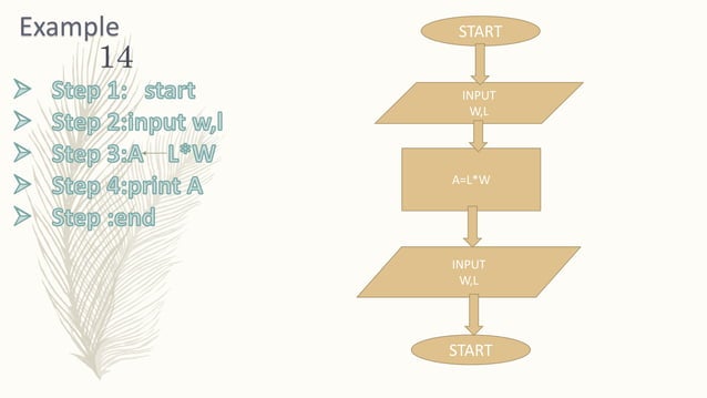 Algorithms and Flowcharts | PPT