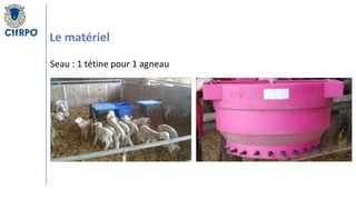 L'allaitement artificiel chez les agneaux.pptx
