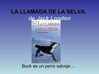LA LLAMADA DE LA SELVA ,   de  Jack London Buck es un perro salvaje… 