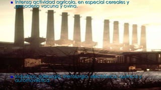  Intensa actividad agrícola, en especial cereales y
ganadería vacuna y ovina.
Industrias: siderurgia, metalurgia, electrónica, química y
automovilística.