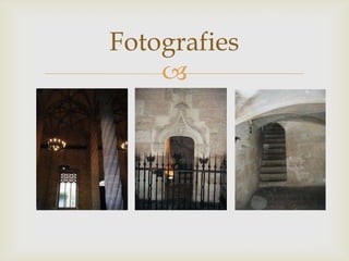 Fotografies
    
 